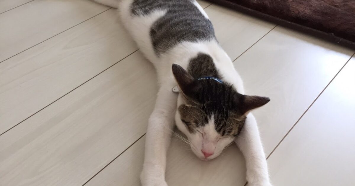 ブドウ園のお客様