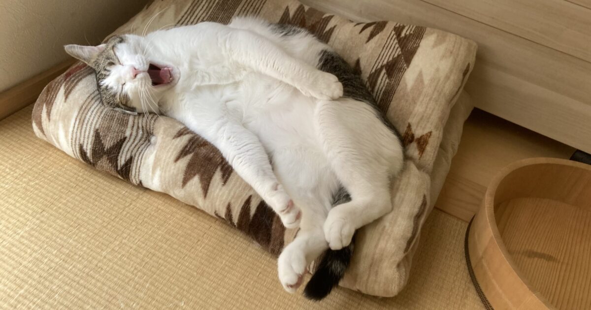 テープナー必要です