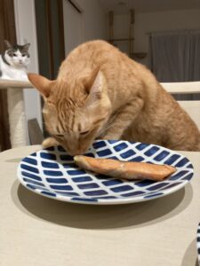 投稿についてもっと詳しく クインニーナは人気です