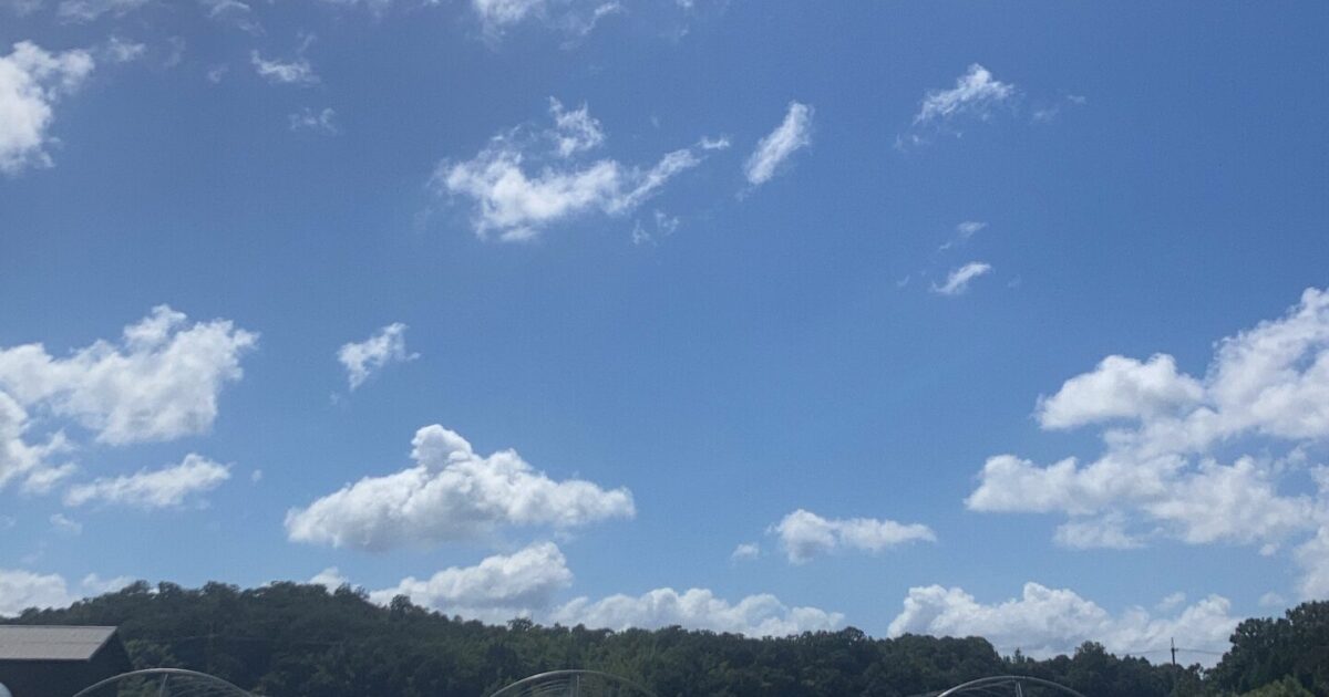 果物は収穫までの時間がかかるもの