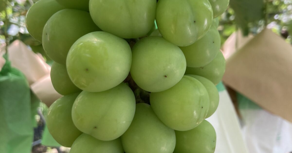 いいものを作る