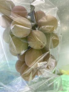 投稿についてもっと詳しく 色づいてきました