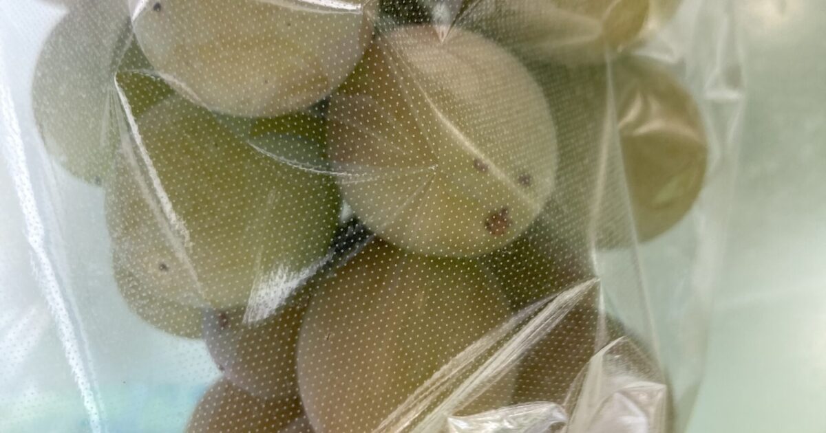 色づいてきました