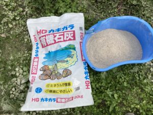 投稿についてもっと詳しく 来年に向けて