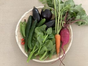 投稿についてもっと詳しく 野菜は楽しい
