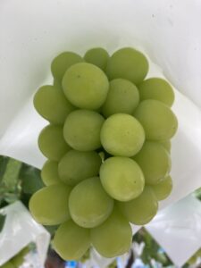投稿についてもっと詳しく マスカサーティーン作りたい！