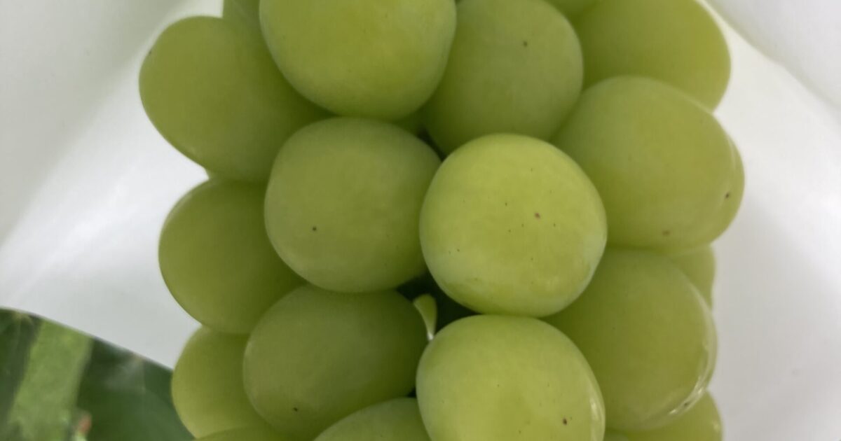 マスカサーティーン作りたい！