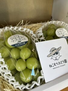 投稿についてもっと詳しく 出荷が始まりました