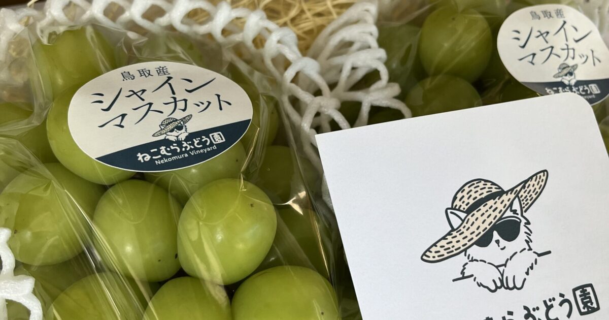 出荷が始まりました