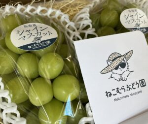 投稿についてもっと詳しく 出荷が始まりました