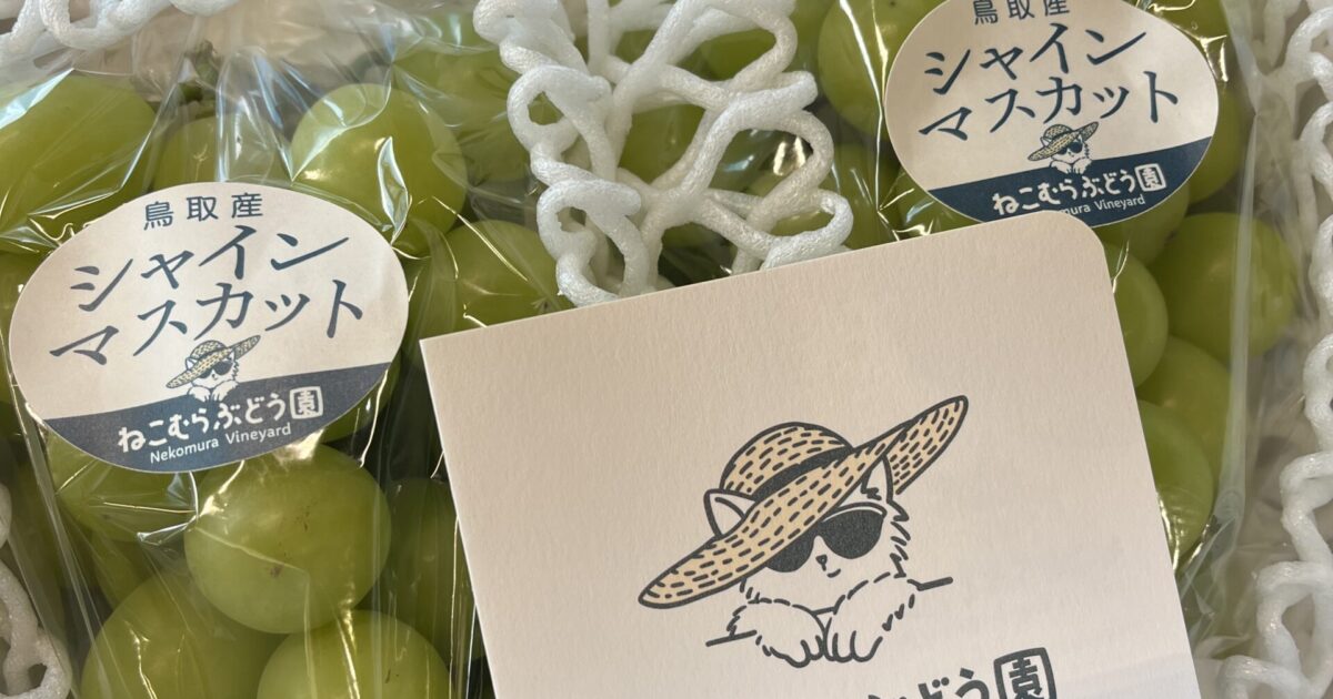 贈答用シャインマスカットです