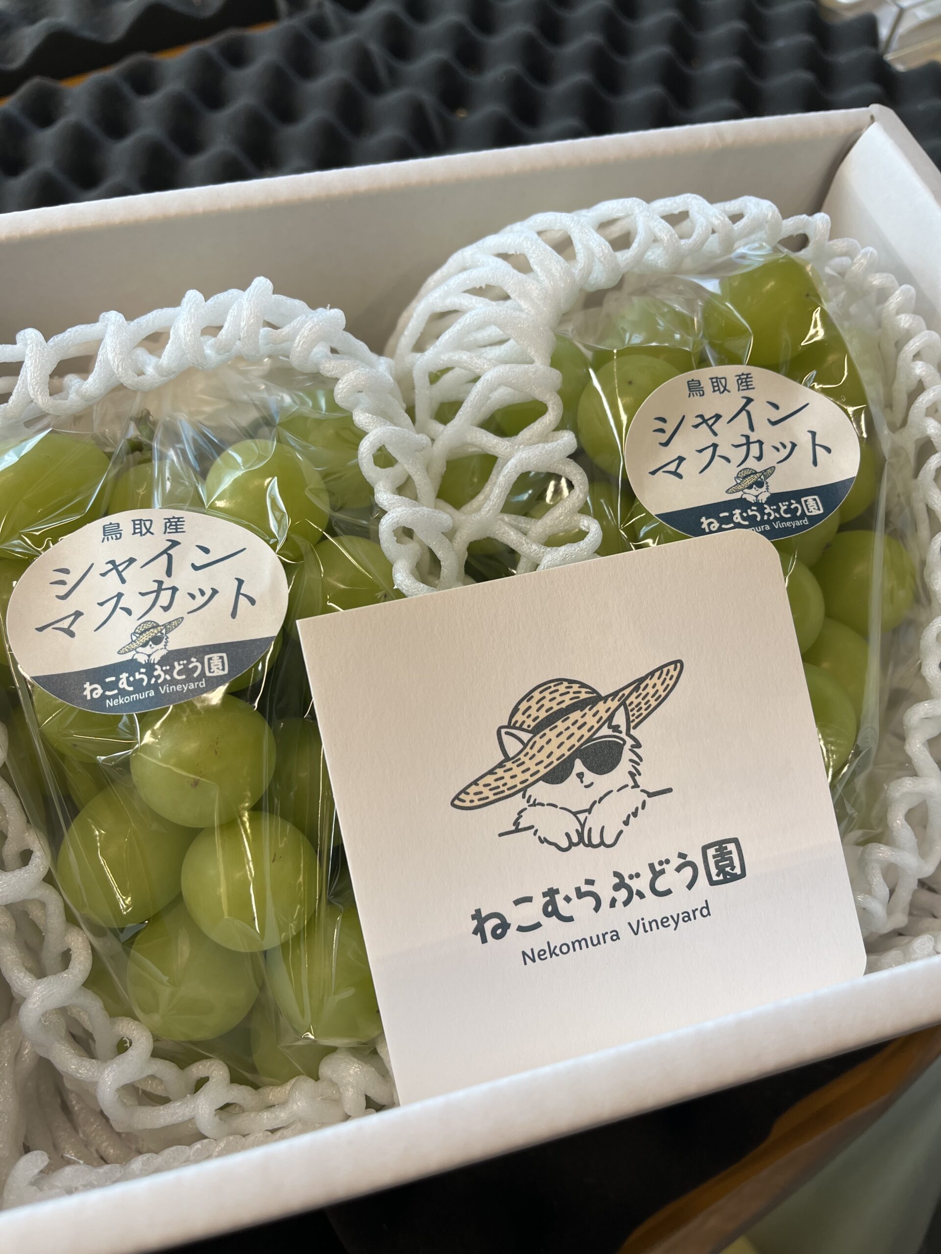 投稿についてもっと詳しく 贈答用シャインマスカットです